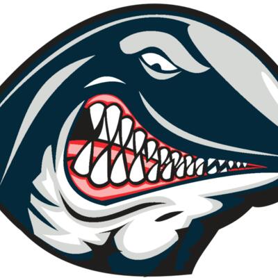 WHALE HD0501 RQC Thumbnail