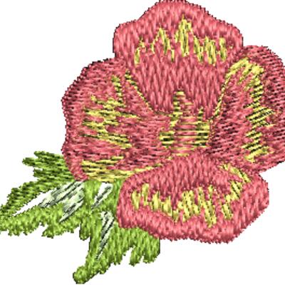 330595 Thumbnail